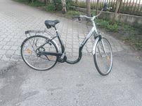 Rower damski Active Bike