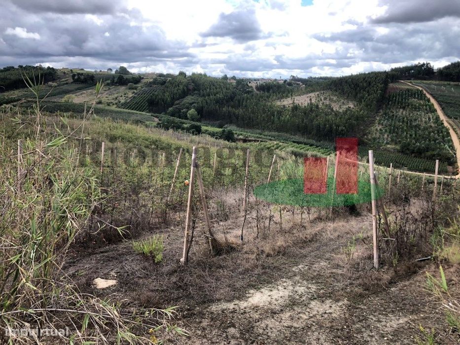 Terreno Rústico com Viabilidade para Armazém Caldas Rainha***RIOMAG...