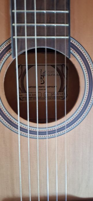 Guitarra 1/2 com saco Ritter