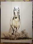 Szafa 150cm Horse White Meblik, szafa młodzieżowa
