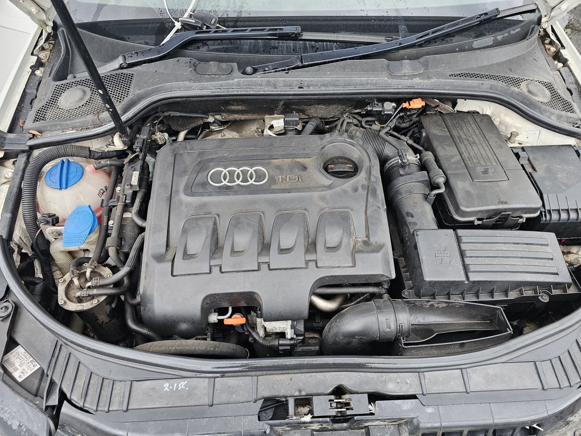 Запчасти,Разборка,Розбірка,Двері Audi A3 8P SportBak 2012 Lift S-Line