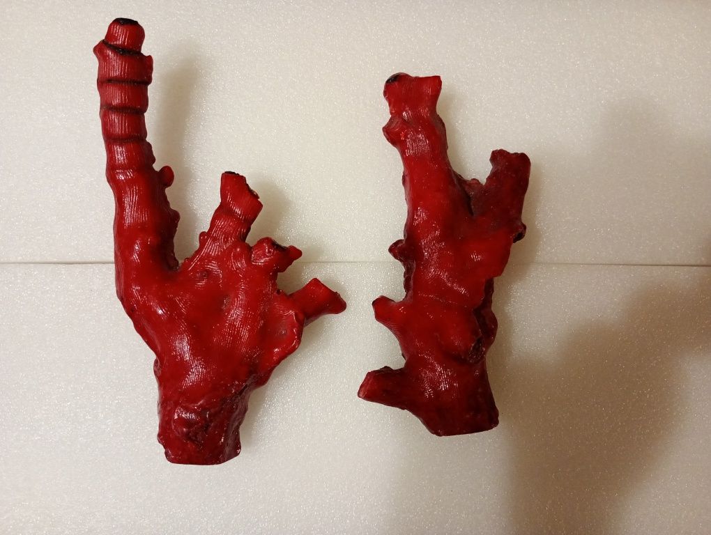 Кораллы красные индийского океана