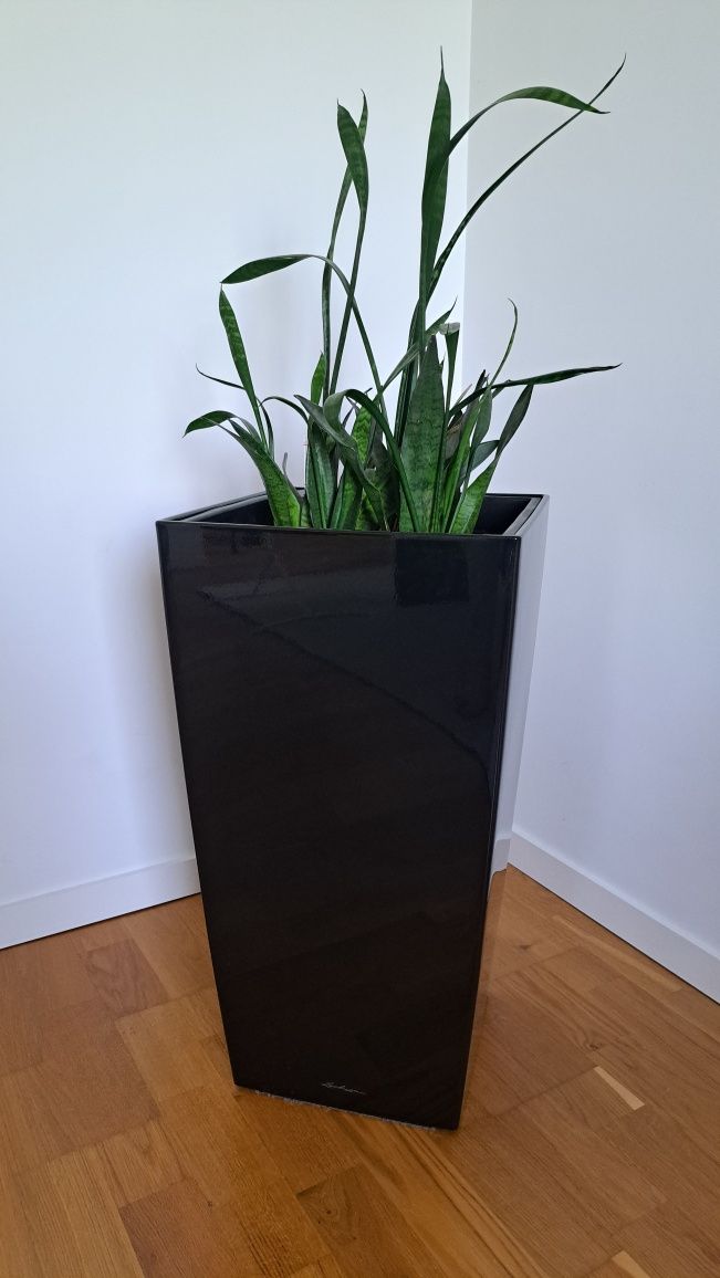 Donica Lechuza Cubico czarna 75cm