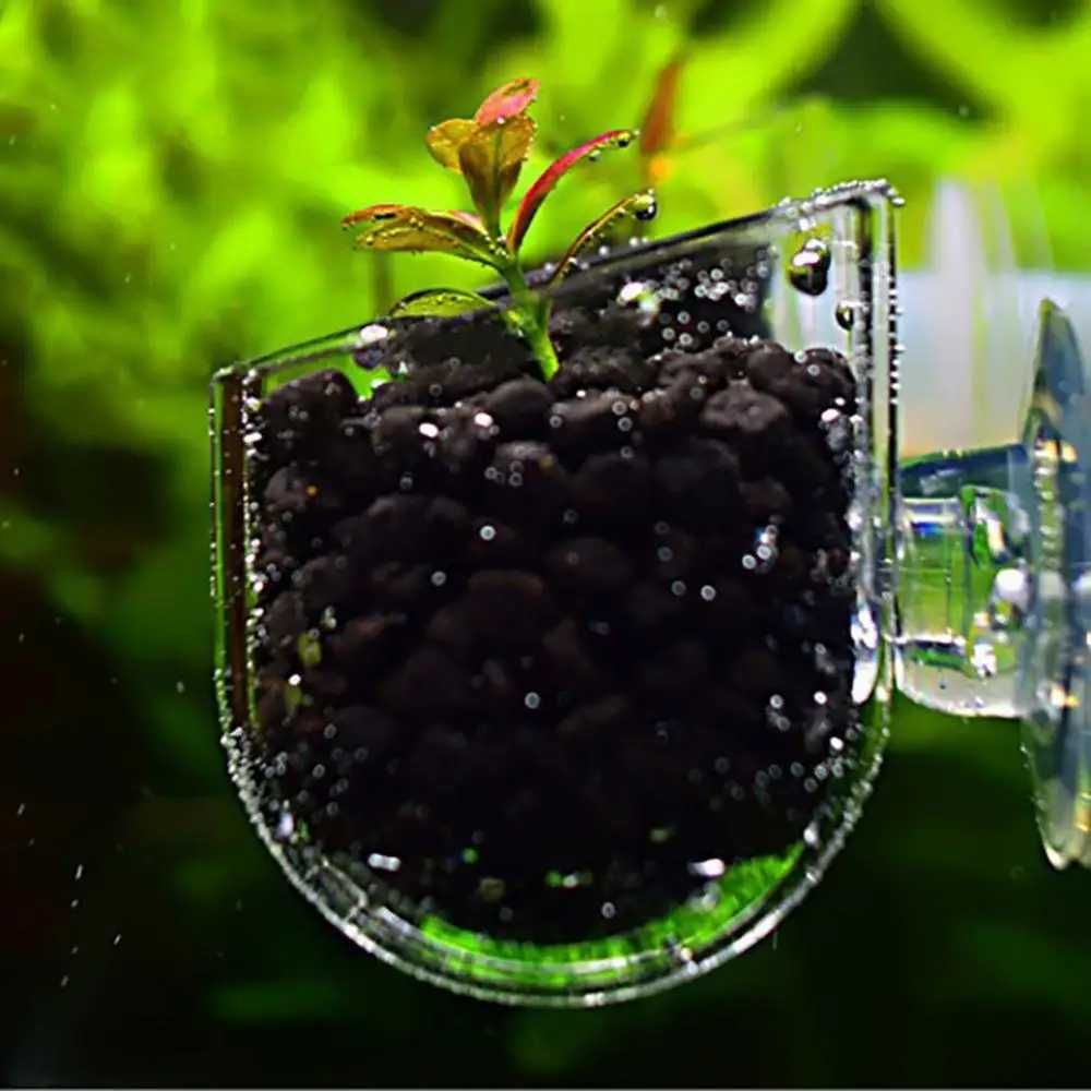 Copo alimentador ou vaso de plantas para aquário