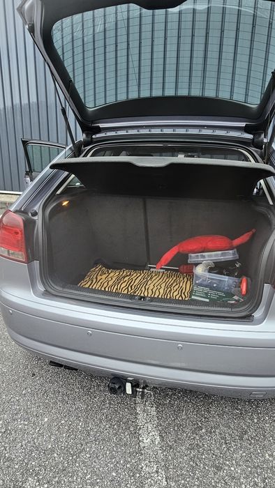 Audi A3 2.0 TDI (140cv) – 2004 – 8P