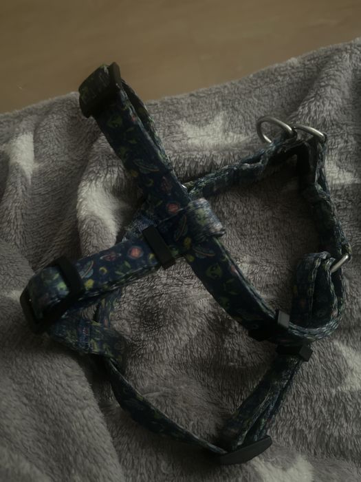 Шлея для невеликої собаки M, кенгурушка, комбінезон зимовий