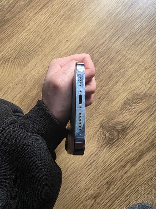 Apple iPhone 13 Pro Max 1 TB (Sierra Blue)