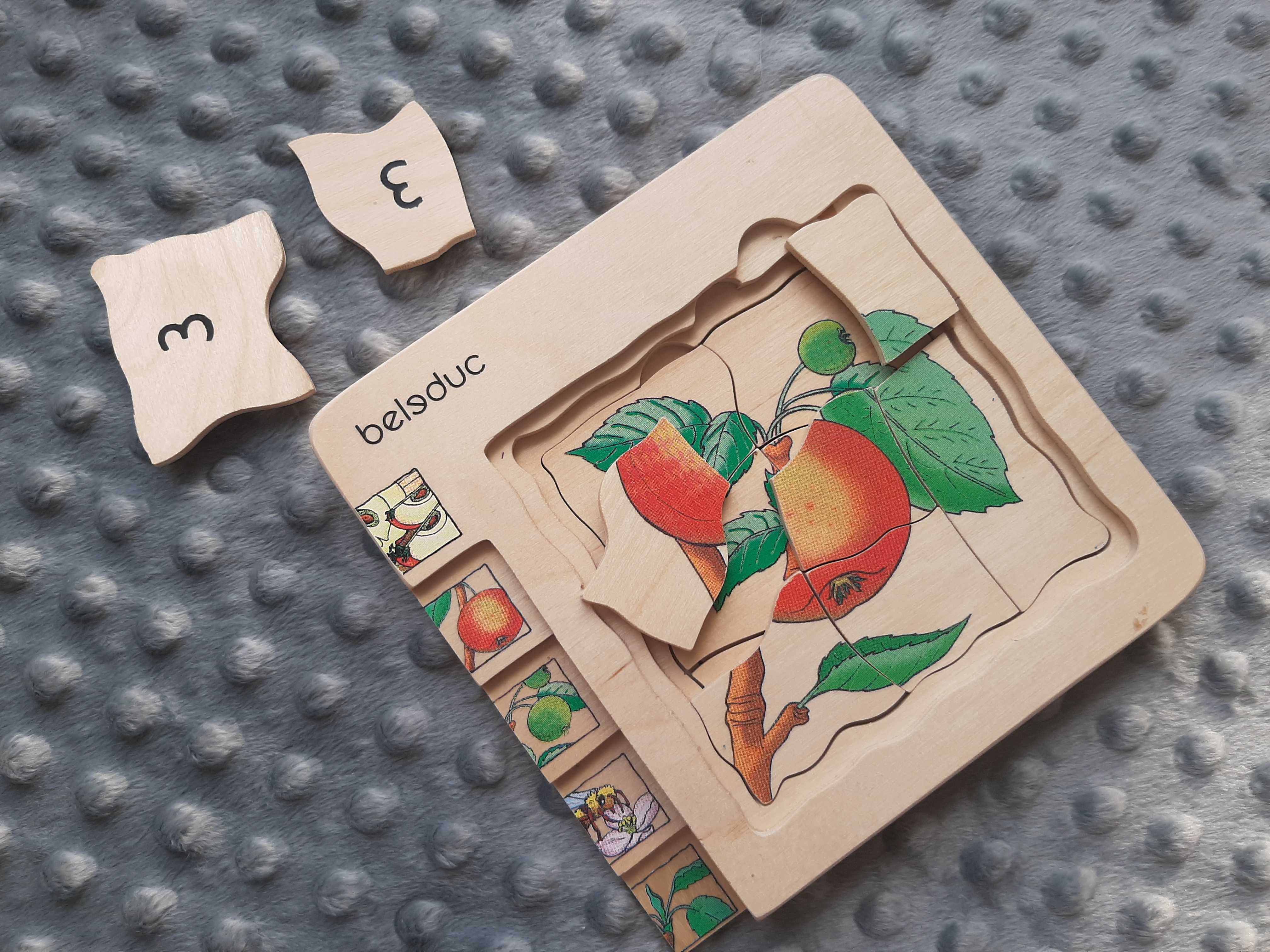 BELEDUC Puzzle Drewniane dla Dzieci Jak Rośnie Jabłko