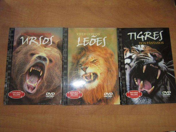 DVD animais Tigres