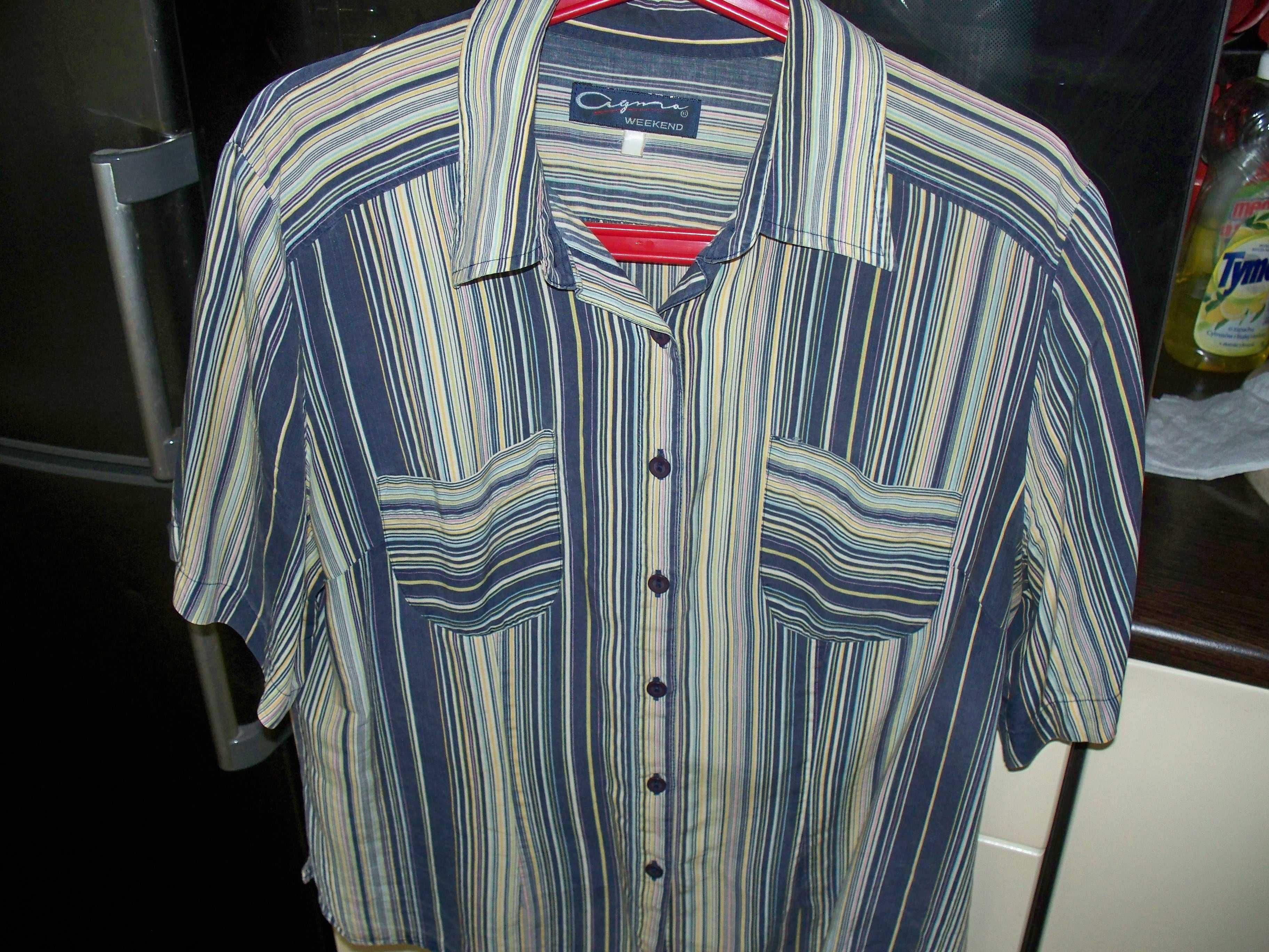 bluzka koszulowa w kolorowe pasy 40/42