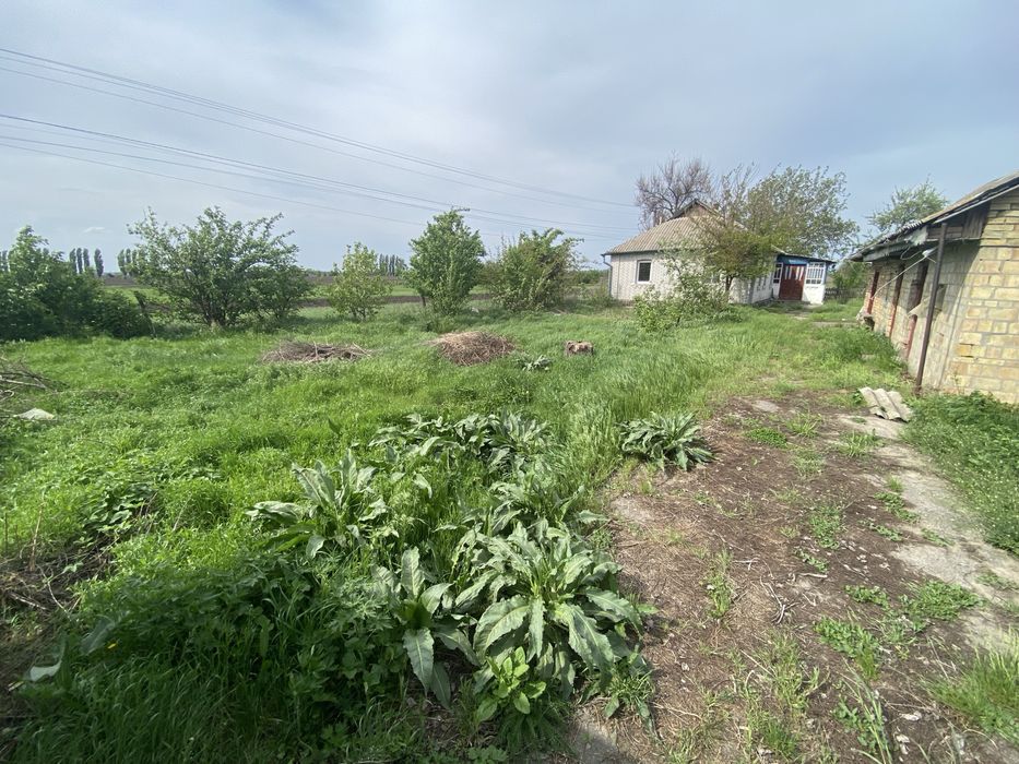 Продаж будинку Обухівський район