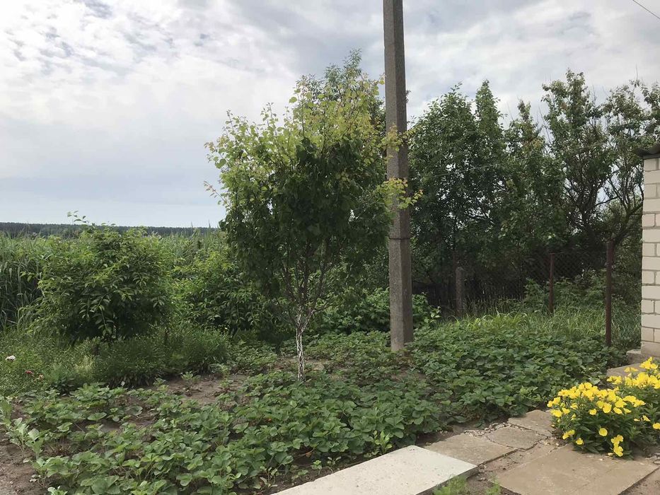Продам будинок у Володарці