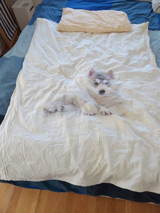 Kołdra i pościel 120x90