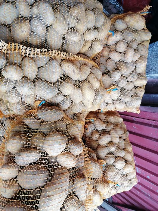 Ziemniaki na oborniku od rolnika wysyłka inpost