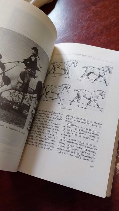 O Exterior do Cavalo - J. Miranda do Vale