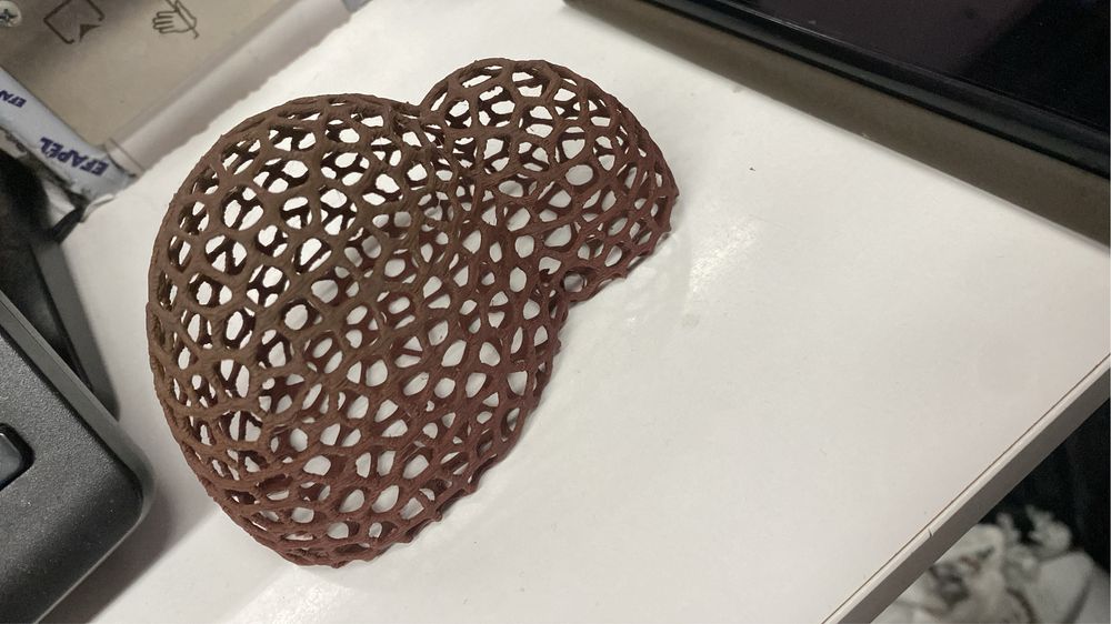 Coral musgo abrigo para camarões