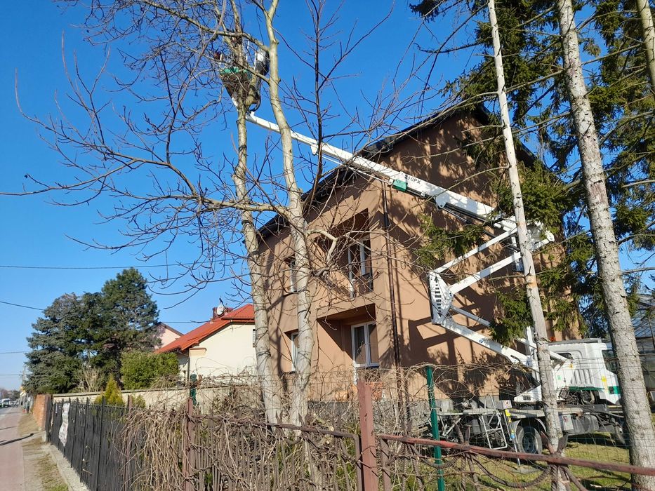 Wycinka Drzew, Pielęgnacja Ogrodów.