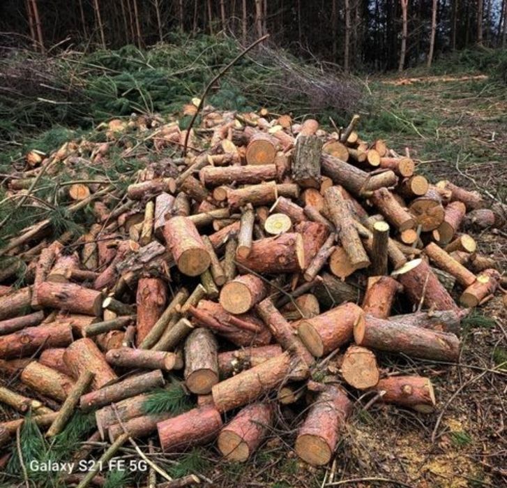 Drzewo kominkowe drewno opałowe