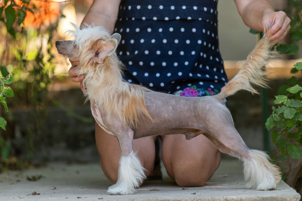 Обирай найкраще! Лідер Днепровське Сонце