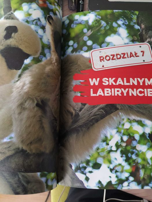 Madagaskar.Klątwa pasiastego lemura.Szymon Radzimierski
