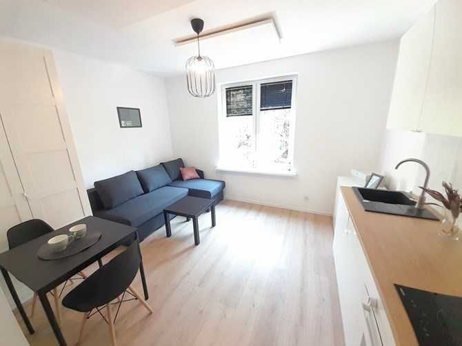 Wynajmę studio przyjazne zwierzętom, Tomasza 5, BRAK PROWIZJI