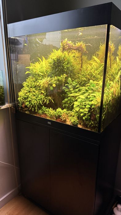 Akwarium Juwel Lido 200 z belka HeliaLux Specteum sterownik wifi Filtr