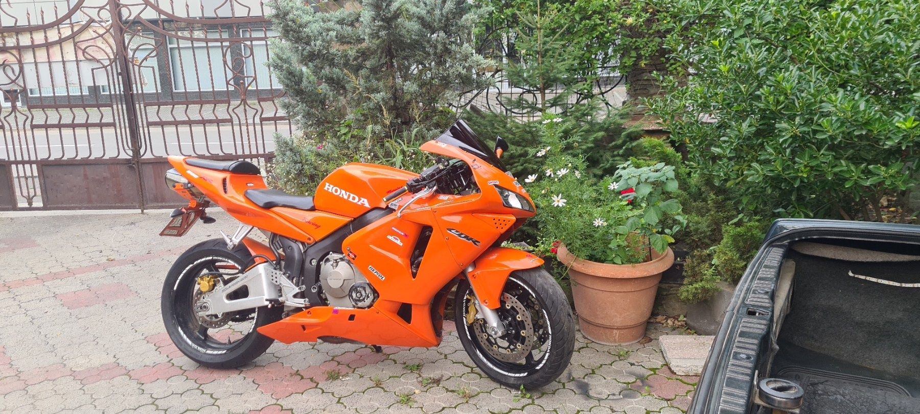 Honda  cbr 600 rr в  гарному  станi