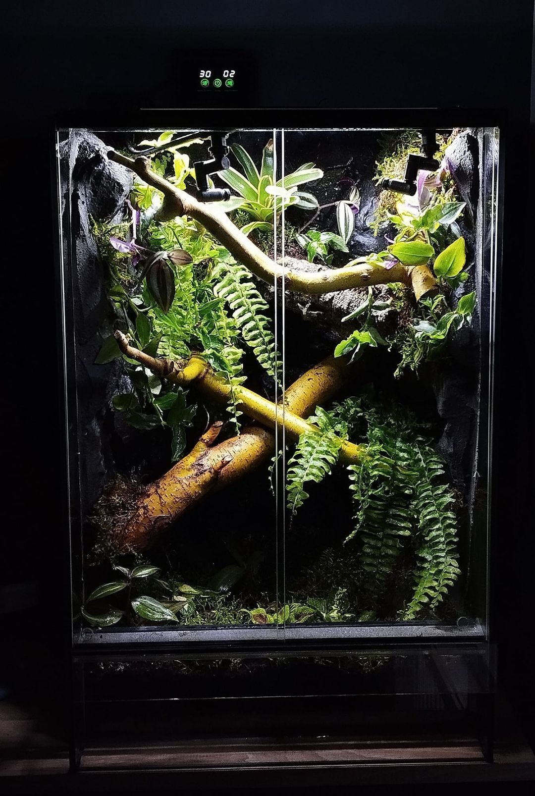 Terrarium tropikalne 40x40x60 gekon