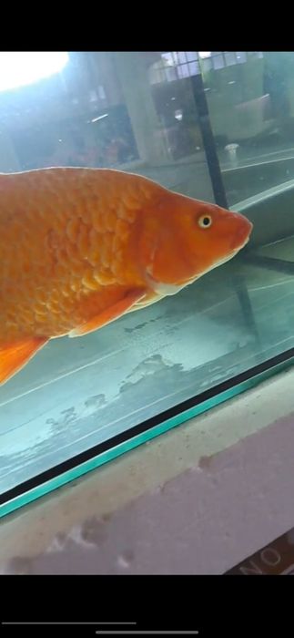 Продам діючий бізнес, действующий бизнес