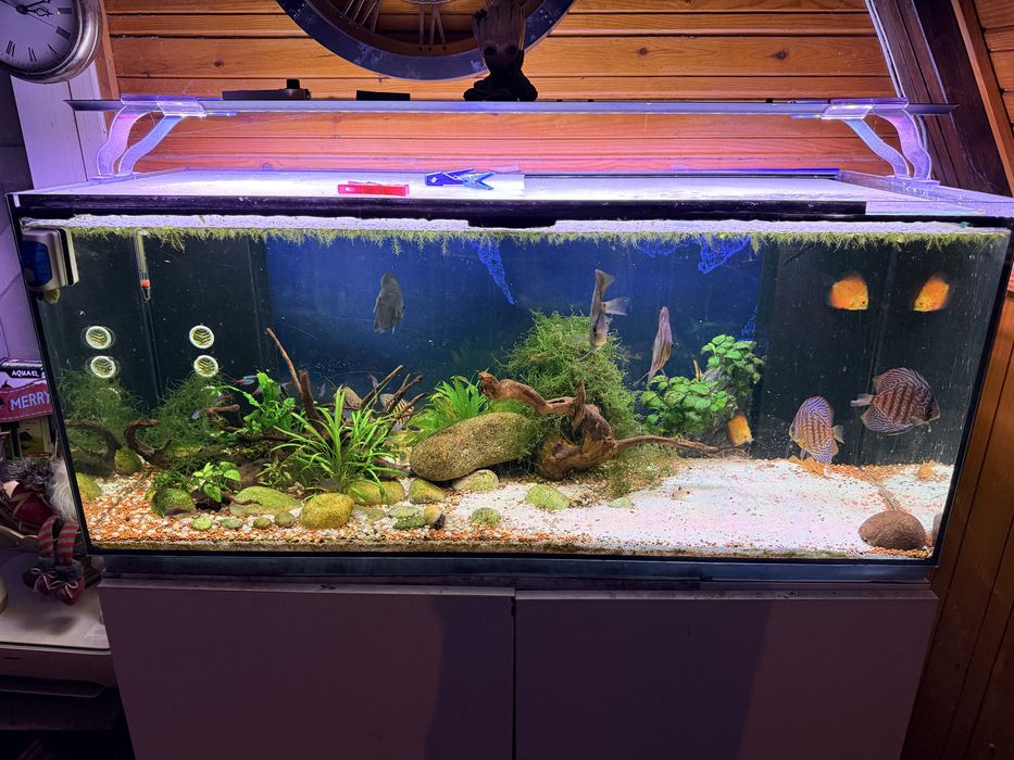 Aquario 120cm Sump e Movel