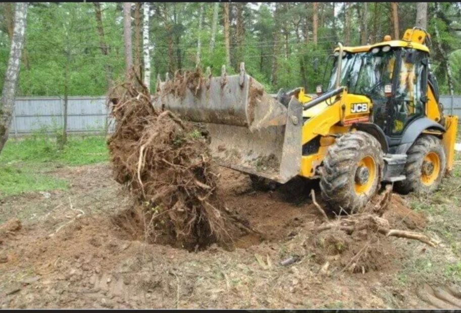 Услуги по Очистка участка, спил деревьев.
