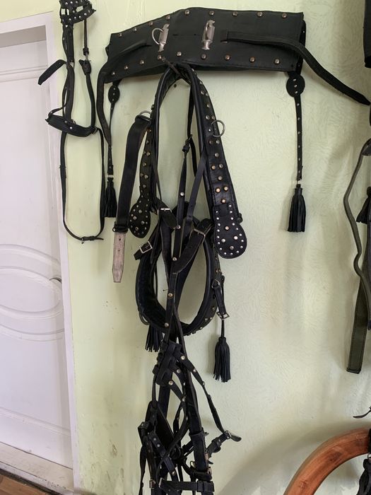 Продам лошадиную збрую бу.