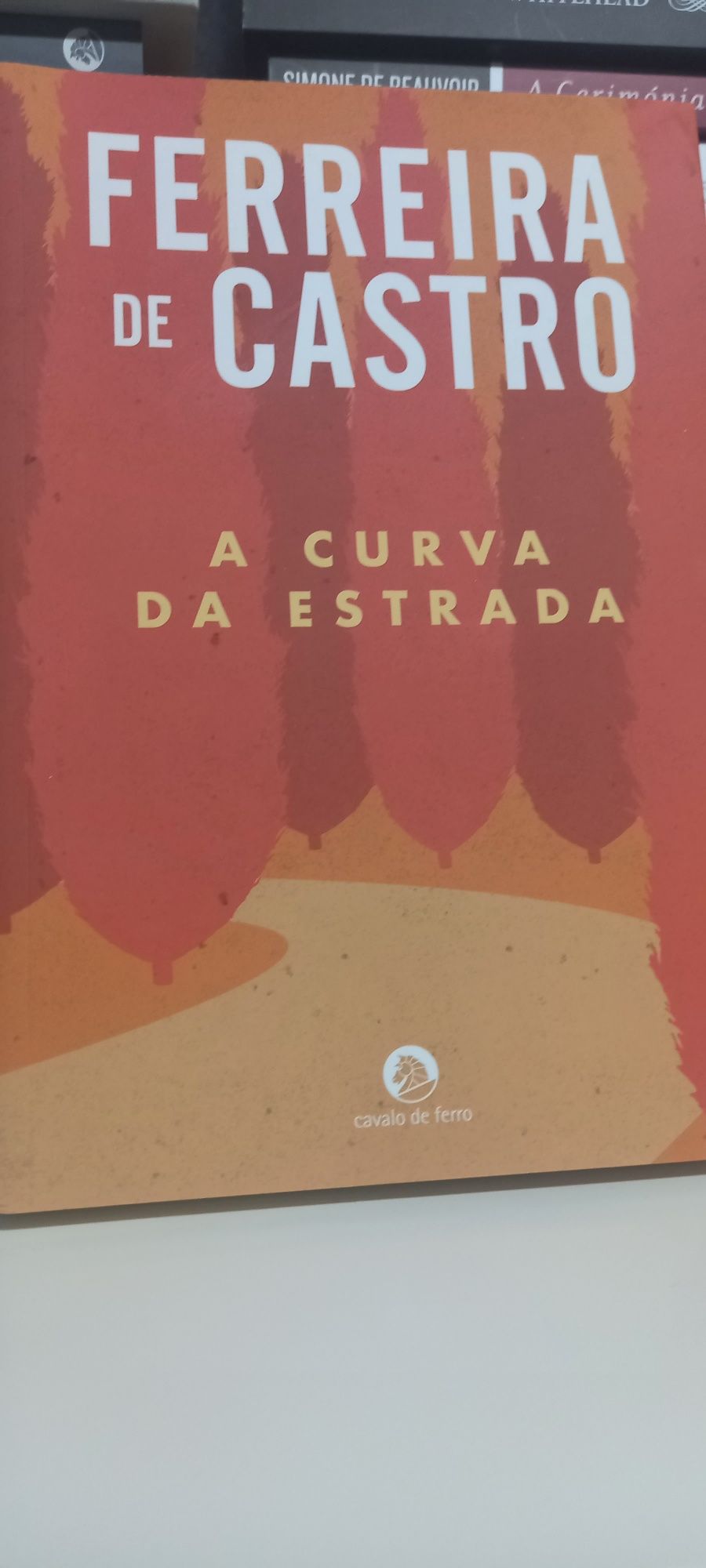 "A Curva da Estrada"