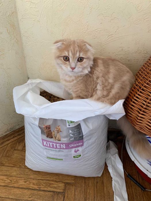 Кращій корм без хімії для котів від виробника STARDEYL за 700грн