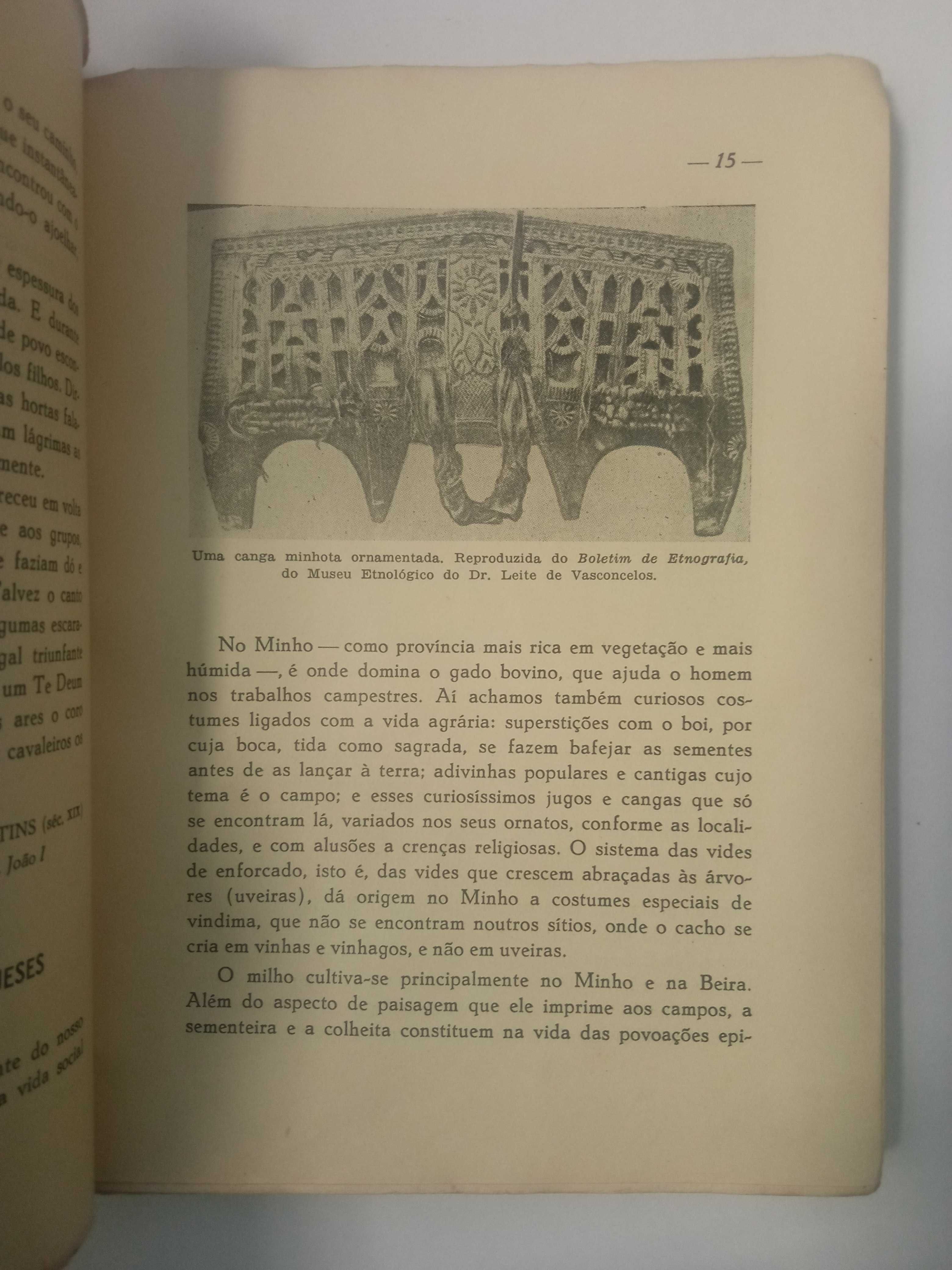 A terra e a Grei, de Correa de Oliveira e Saavedra Machado