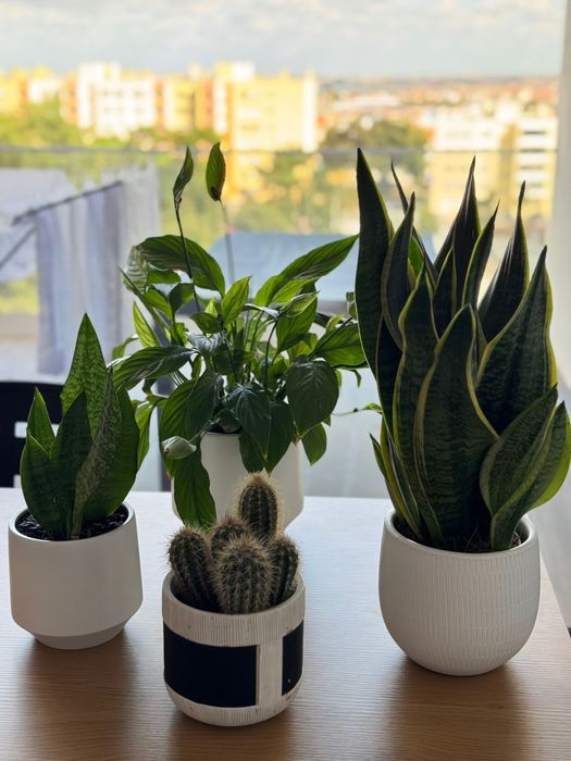 4 vasos de planta + saco de terra + kit jardinagem