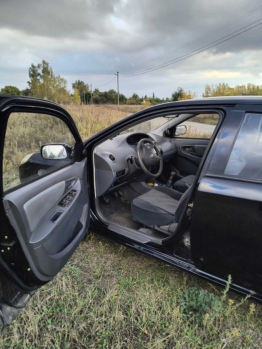 Geele my 2010 року