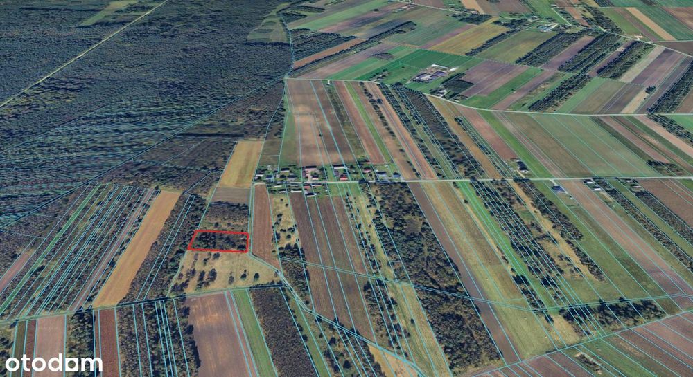 Działka 4302 m² rolno-budowlana w spokojnej okolicy - blisko przyrody