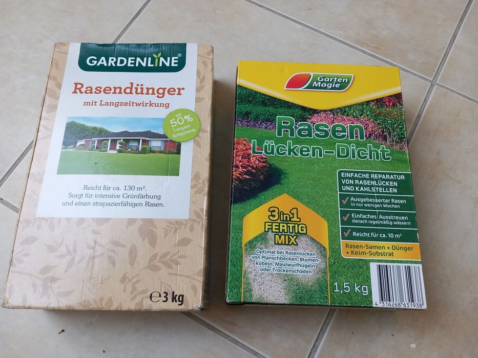 Насіння для зеленого газону