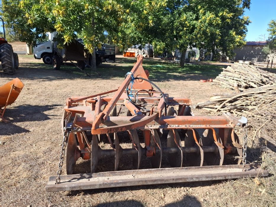 Grande de discos em muito bom estado