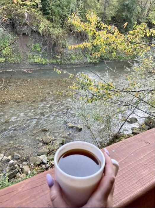 Еко садиба «Вільха», Микуличин, відпочинок у Карпатах .