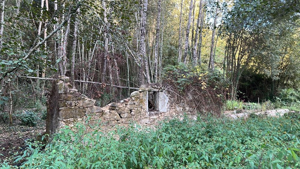 Terreno com ruína de moinho e possibilidade de casa pré-fabricada