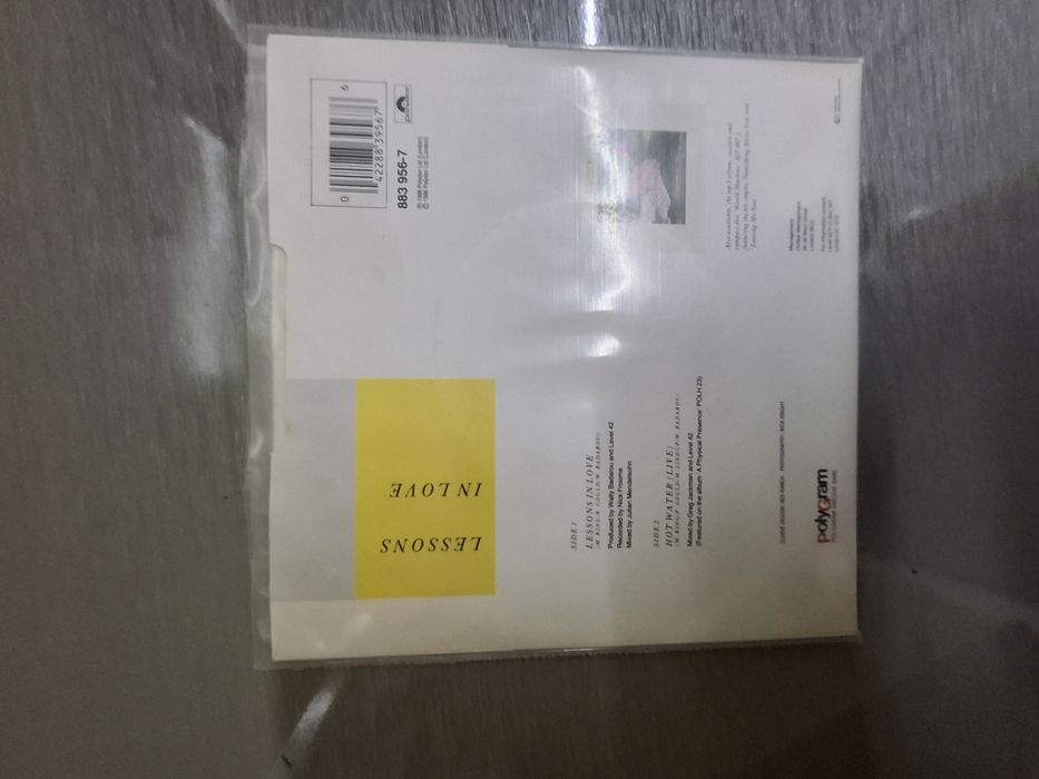 Single level 42 lessons in love novo