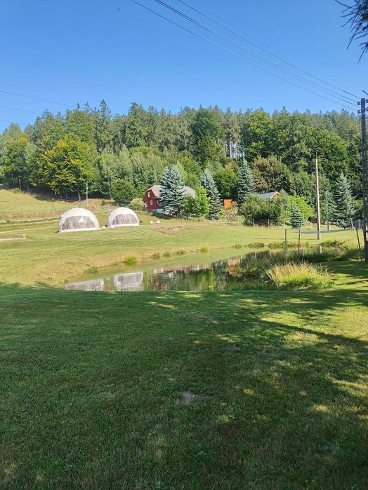 Glamping Bobrowniczki