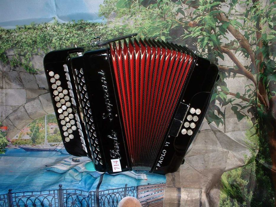 Concertina a venda n.714