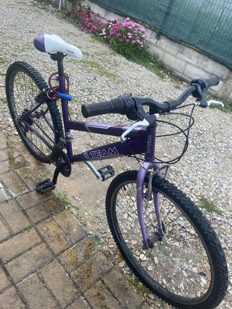 Bicicleta TEAM VENDO