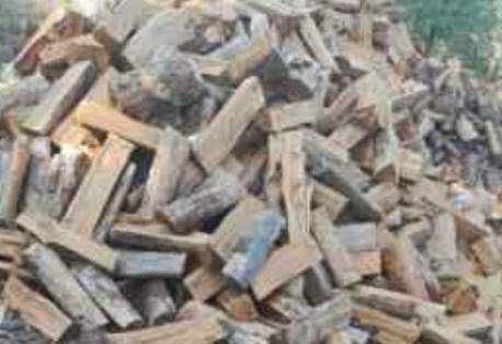 Vendo lenha de pinho seca 35€ o metro cúbico