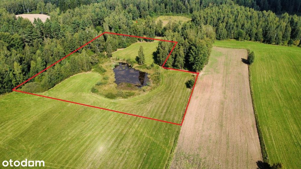 Przerośl - działka pod lasem - staw - 4 zł/m2