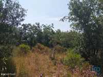 Terreno em Chãos de 1560,00 m2