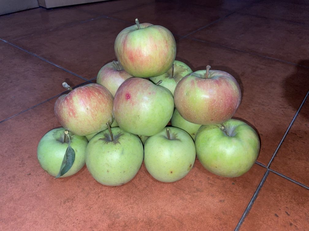 Maçã Golden e Maça Fuji